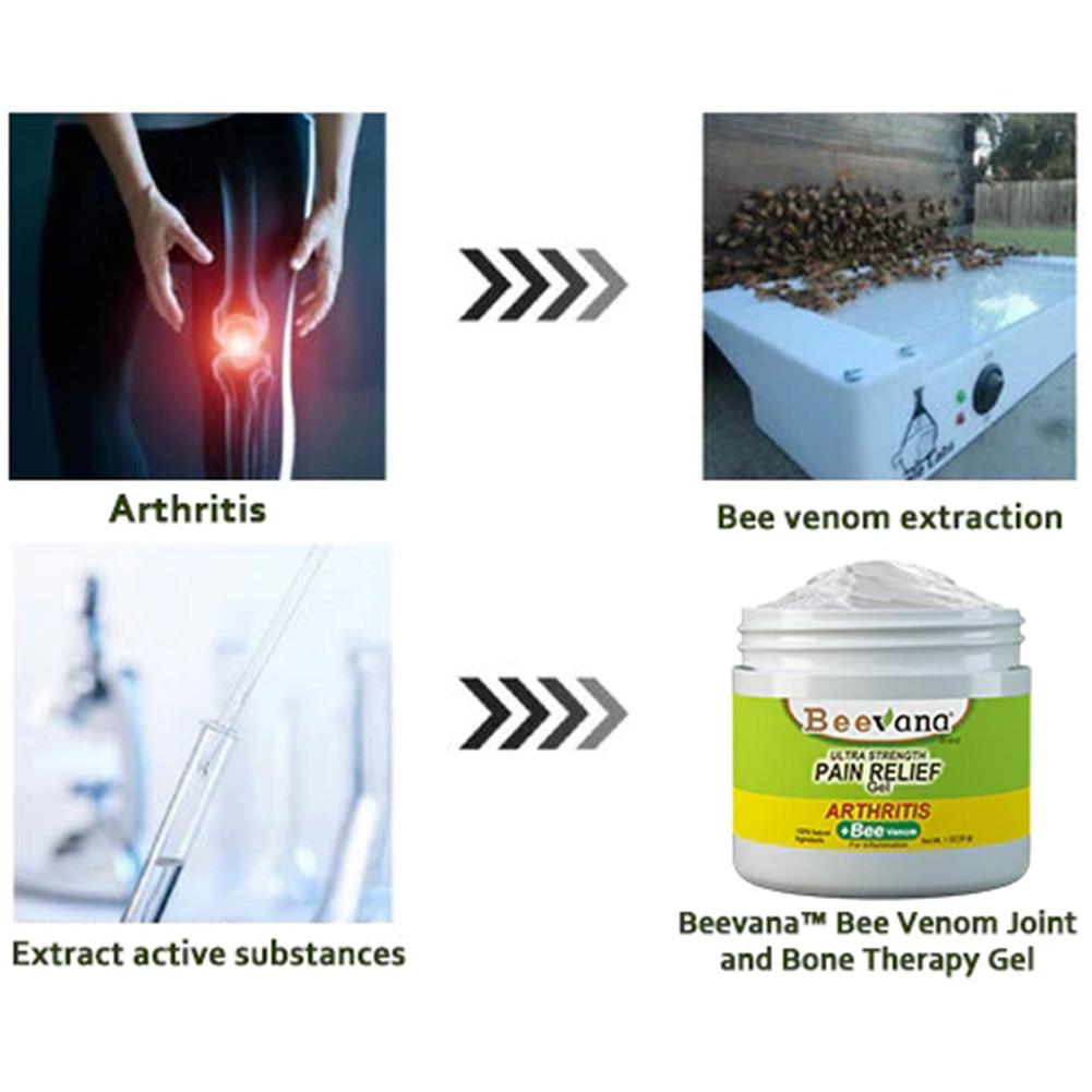 Beevana™ Bee Venom Joint & Bone Therapy Cream (Full Body Recovery, Pure Natural Formula) - Givemethisnow
