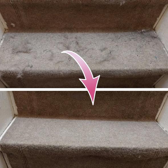 Lint & Pet Hair Remover - Givemethisnow
